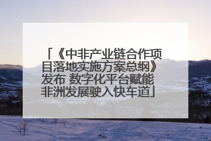 《中非产业链合作项目落地实施方案总纲》发布 数字化平台赋能非洲发展驶入快车道
