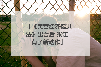 《民营经济促进法》出台后 张江有了新动作