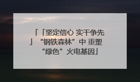 「坚定信心 实干争先」“钢铁森林”中 重塑“绿色”火电基因