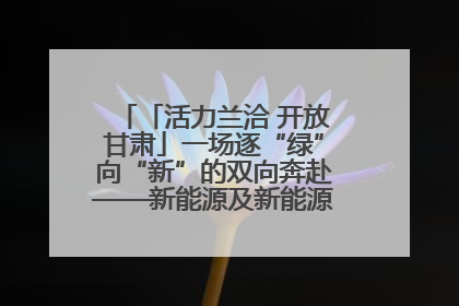 「活力兰洽 开放甘肃」一场逐“绿”向“新”的双向奔赴——新能源及新能源装备制造产业投资发展对接活动扫描