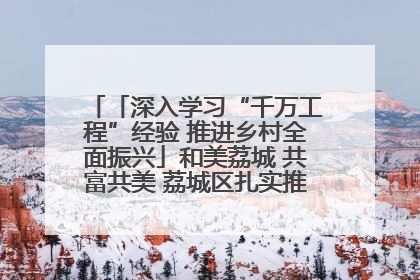 「深入学习“千万工程”经验 推进乡村全面振兴」和美荔城 共富共美 荔城区扎实推进乡村振兴工作