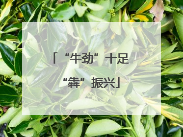 “牛劲”十足“犇”振兴