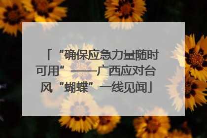 “确保应急力量随时可用”——广西应对台风“蝴蝶”一线见闻