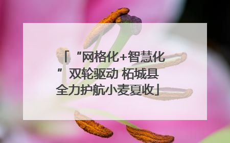 “网格化+智慧化”双轮驱动 柘城县全力护航小麦夏收