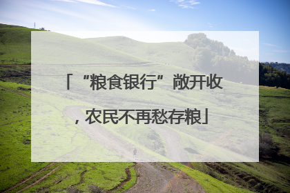 “粮食银行”敞开收，农民不再愁存粮