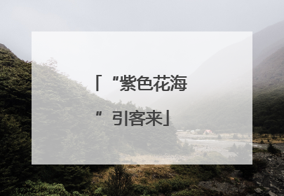 “紫色花海”引客来