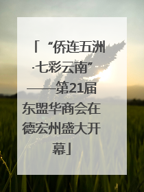 “侨连五洲·七彩云南”——第21届东盟华商会在德宏州盛大开幕