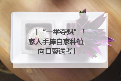 “一举夺魁”！家人手捧自家种植向日葵送考