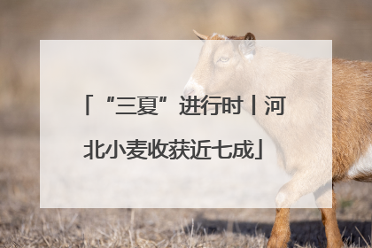 “三夏”进行时丨河北小麦收获近七成