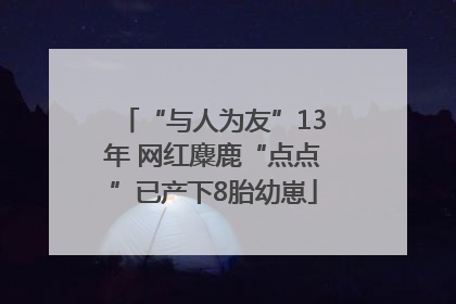 “与人为友”13年 网红麋鹿“点点”已产下8胎幼崽