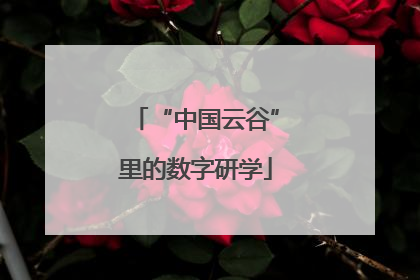 “中国云谷”里的数字研学