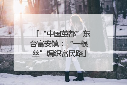 “中国茧都”东台富安镇：“一根丝”编织富民路