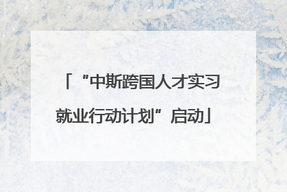“中斯跨国人才实习就业行动计划”启动