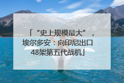 “史上规模最大”，埃尔多安：向印尼出口48架第五代战机