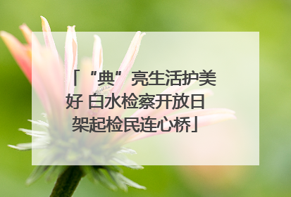 “典”亮生活护美好 白水检察开放日架起检民连心桥