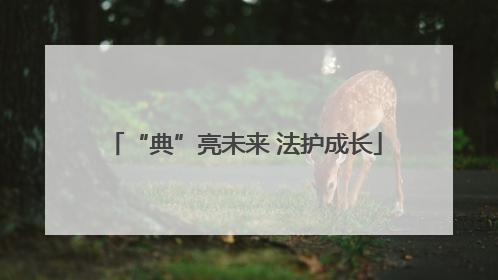 “典”亮未来 法护成长