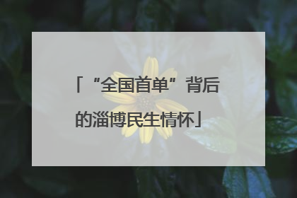 “全国首单”背后的淄博民生情怀