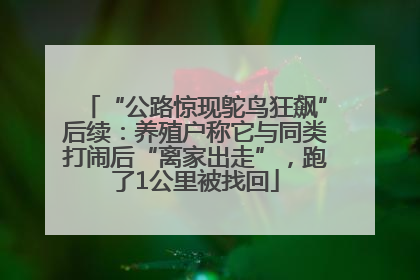 “公路惊现鸵鸟狂飙”后续：养殖户称它与同类打闹后“离家出走”，跑了1公里被找回