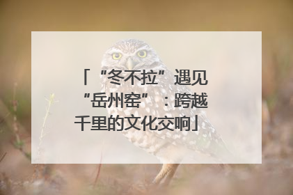 “冬不拉”遇见“岳州窑”：跨越千里的文化交响