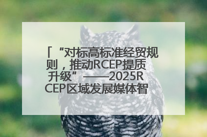 “对标高标准经贸规则，推动RCEP提质升级”——2025RCEP区域发展媒体智库论坛举行专题对话