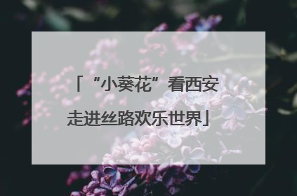 “小葵花”看西安走进丝路欢乐世界