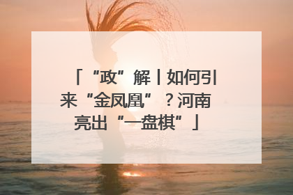 “政”解丨如何引来“金凤凰”？河南亮出“一盘棋”