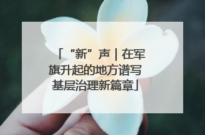 “新”声｜在军旗升起的地方谱写基层治理新篇章