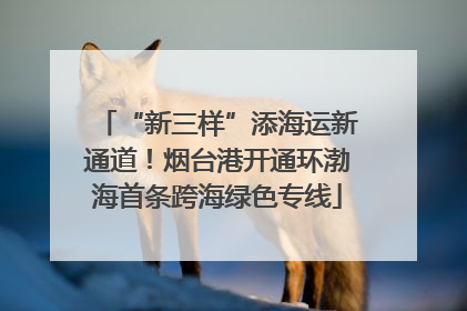 “新三样”添海运新通道！烟台港开通环渤海首条跨海绿色专线