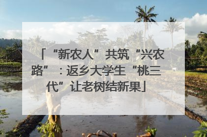 “新农人”共筑“兴农路”：返乡大学生“桃三代”让老树结新果