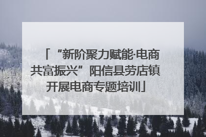 “新阶聚力赋能·电商共富振兴”阳信县劳店镇开展电商专题培训