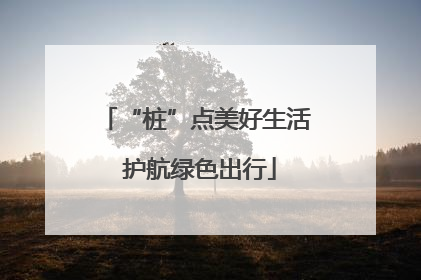 “桩”点美好生活 护航绿色出行
