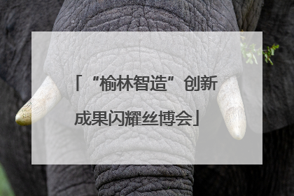 “榆林智造”创新成果闪耀丝博会