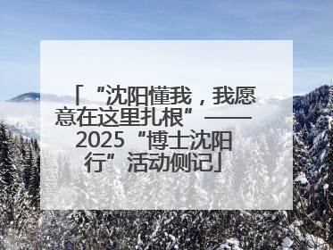 “沈阳懂我，我愿意在这里扎根”——2025“博士沈阳行”活动侧记