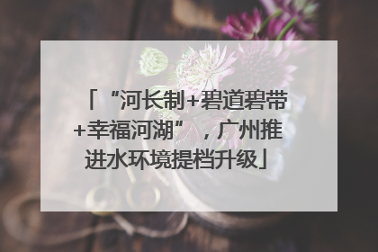 “河长制+碧道碧带+幸福河湖”，广州推进水环境提档升级