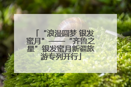 “浪漫圆梦 银发蜜月”——“齐鲁之星”银发蜜月新疆旅游专列开行