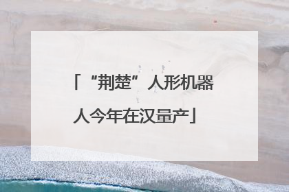 “荆楚”人形机器人今年在汉量产