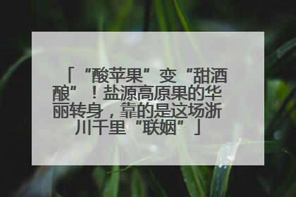 “酸苹果”变“甜酒酿”！盐源高原果的华丽转身，靠的是这场浙川千里“联姻”