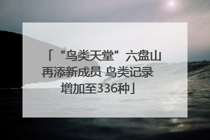 “鸟类天堂”六盘山再添新成员 鸟类记录增加至336种