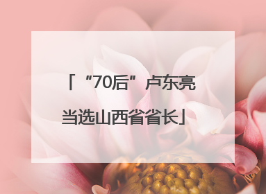 “70后”卢东亮当选山西省省长