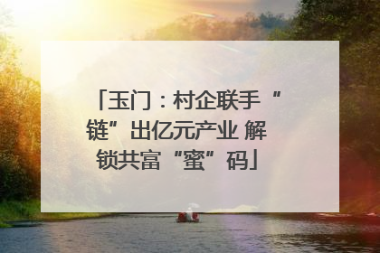 玉门：村企联手“链”出亿元产业 解锁共富“蜜”码