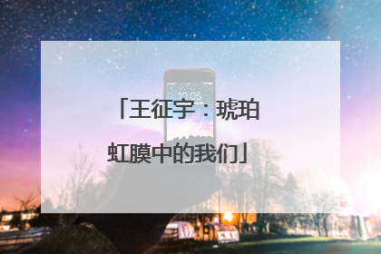王征宇：琥珀虹膜中的我们