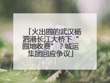 火出圈的武汉杨泗港长江大桥下“圈地收费”？城运集团回应争议