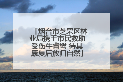 烟台市芝罘区林业局携手市民救助受伤牛背鹭 待其康复后放归自然