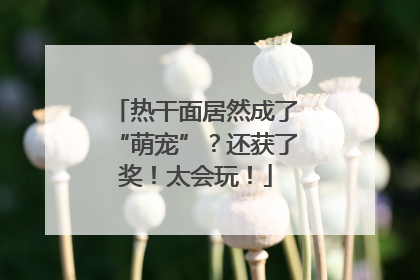 热干面居然成了“萌宠”？还获了奖！太会玩！