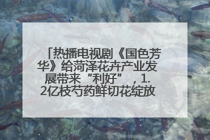 热播电视剧《国色芳华》给菏泽花卉产业发展带来“利好”，1.2亿枝芍药鲜切花绽放“国色芳华”