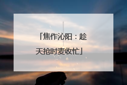 焦作沁阳：趁天抢时麦收忙