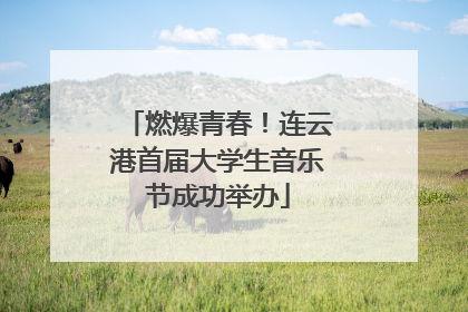 燃爆青春！连云港首届大学生音乐节成功举办