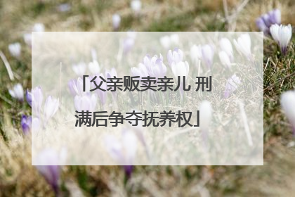 父亲贩卖亲儿 刑满后争夺抚养权