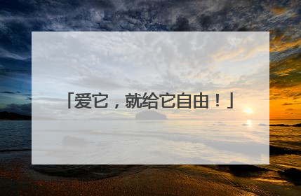 爱它，就给它自由！