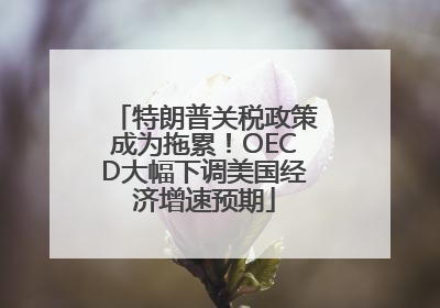 特朗普关税政策成为拖累！OECD大幅下调美国经济增速预期